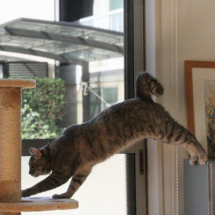 Be895316 9312 4a8a 8597 8ff98e995a57 1509452546821