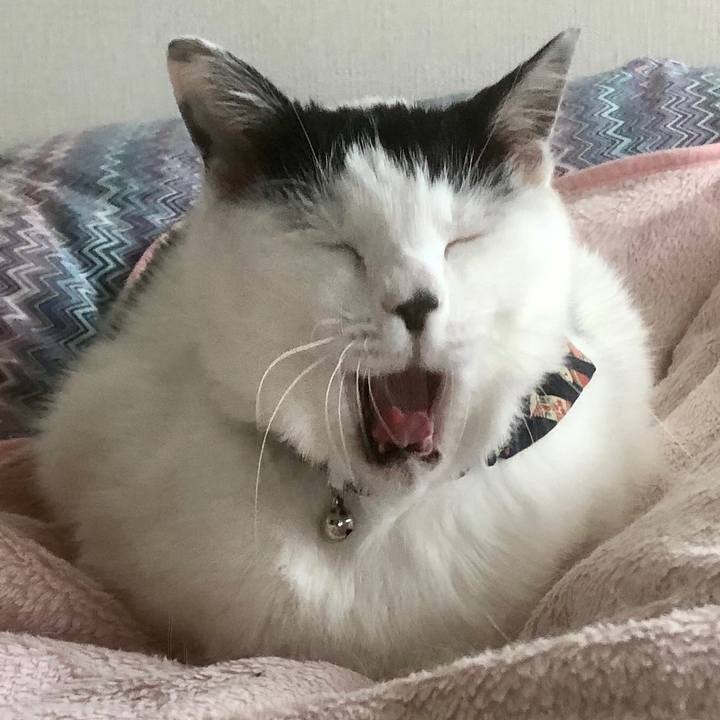 Be89602c 6115 4e02 94a4 3d8918fecaf1 1573272367968