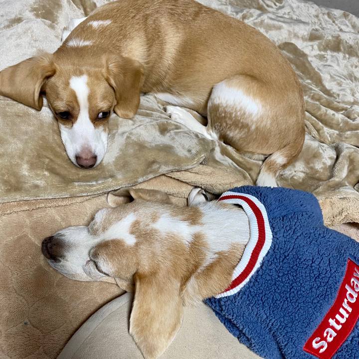 Be899965 54a6 4bae b23b d8f977511156 1584617696927