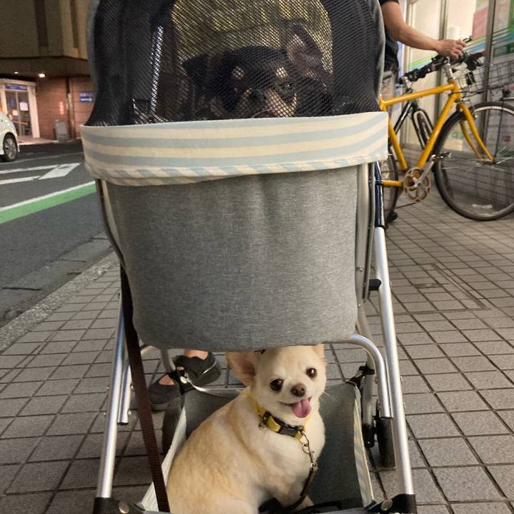 Be89b454 3f35 43d5 99f9 6a136a7ddbb8 1719839140166