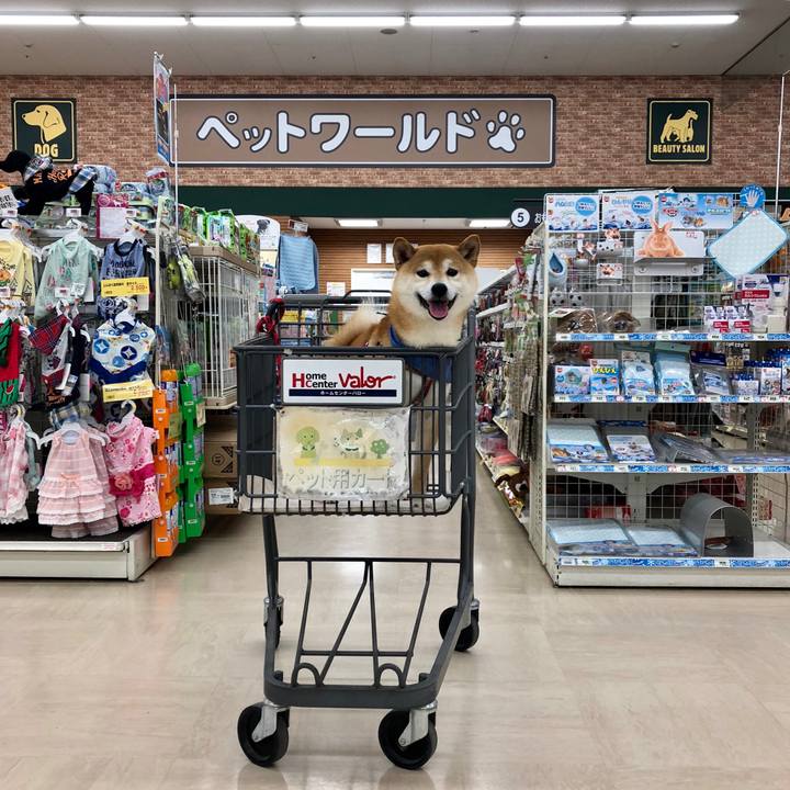 Be89c078 d29e 42c3 a5c3 bc7e36cd49ad 1527129845921