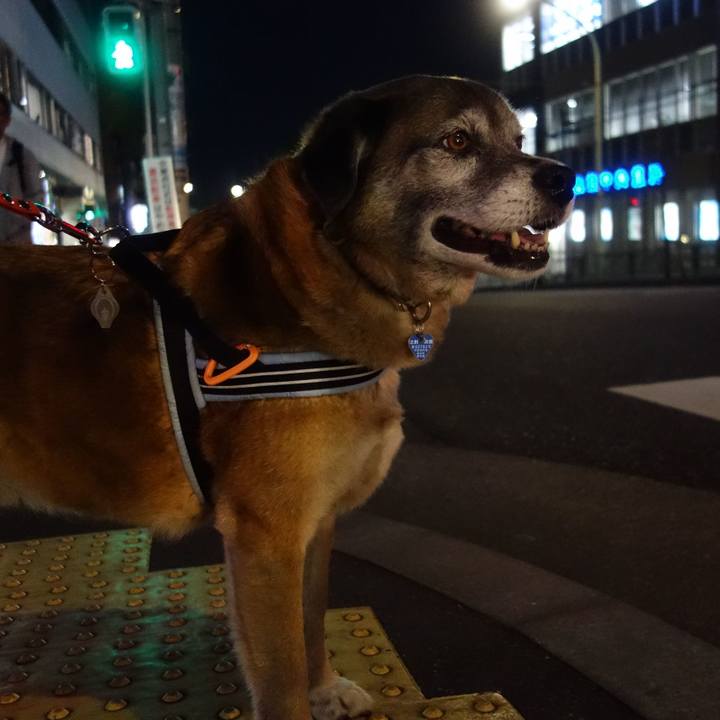 Be89c9fe f7a4 4399 b9ec 1bd040b4eb41 1556024031034