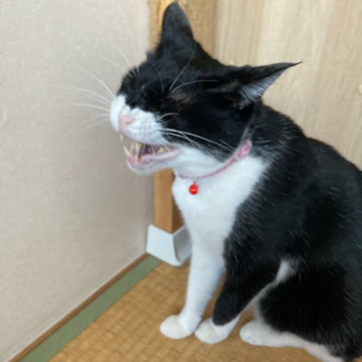 Be89da56 4420 46a6 8c43 ff5390d4561c 1660473732248