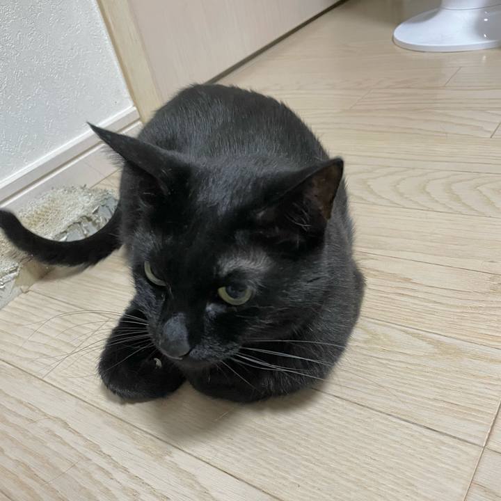 Be89dbeb d8e2 4ccb 8c9b b1d7178a2b7d 1657287181188