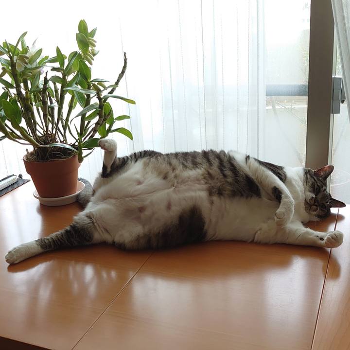 Be89e668 8a5e 48bf 9b74 54f78aecb31c 1623650782988