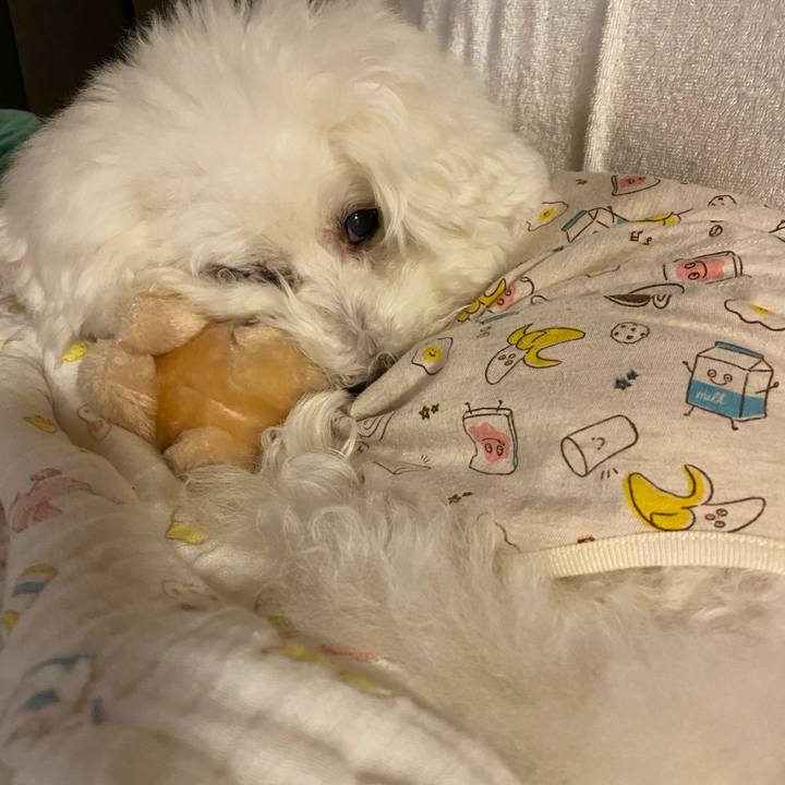 Be8a0c68 e69e 4c05 8aee c7809b584784 1643015820557