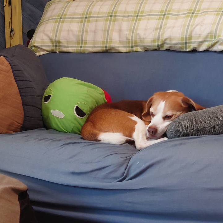 Be8a2a40 2e1d 42b8 a74a 4b906b847a92 1754726470393