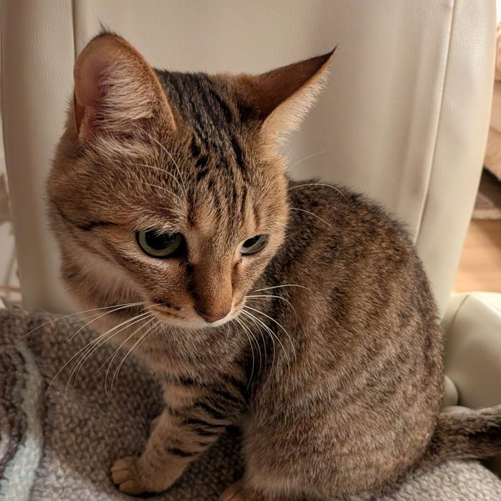 Be8a35e8 44bd 4a07 8fcf 68c5cdf54d24 1769551810119