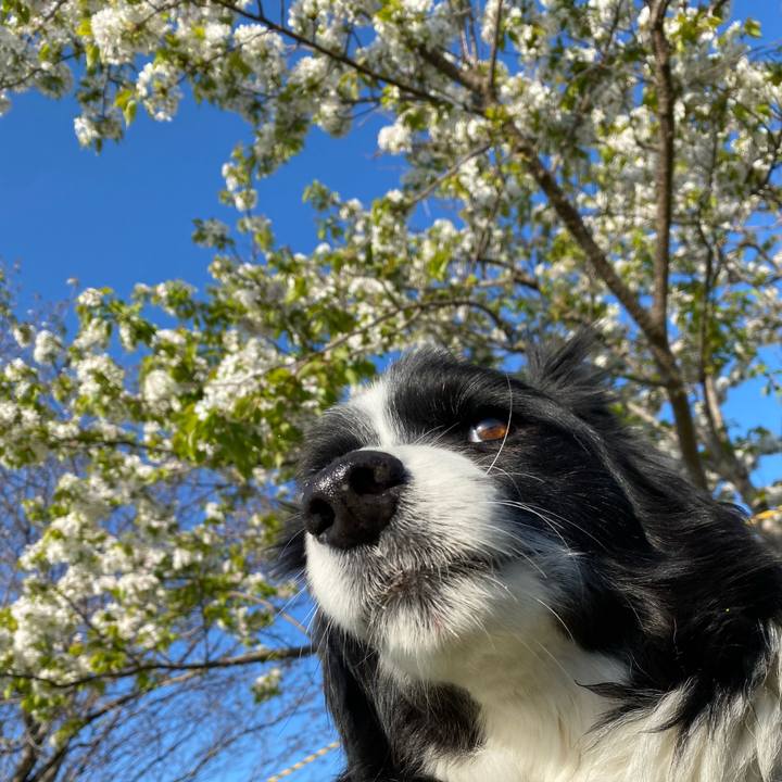 Be8a755f b396 4a9b ba0c 51b3f7b90a8e 1649116766065