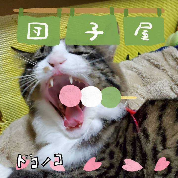 Be8a80a7 b732 4bbe b12b 969d624554b9 1712717360815