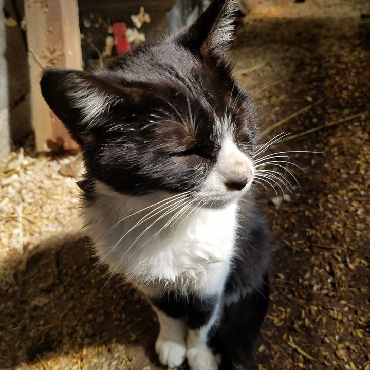 Be8a811e fed1 4128 ab47 293454bf436c 1508280649037