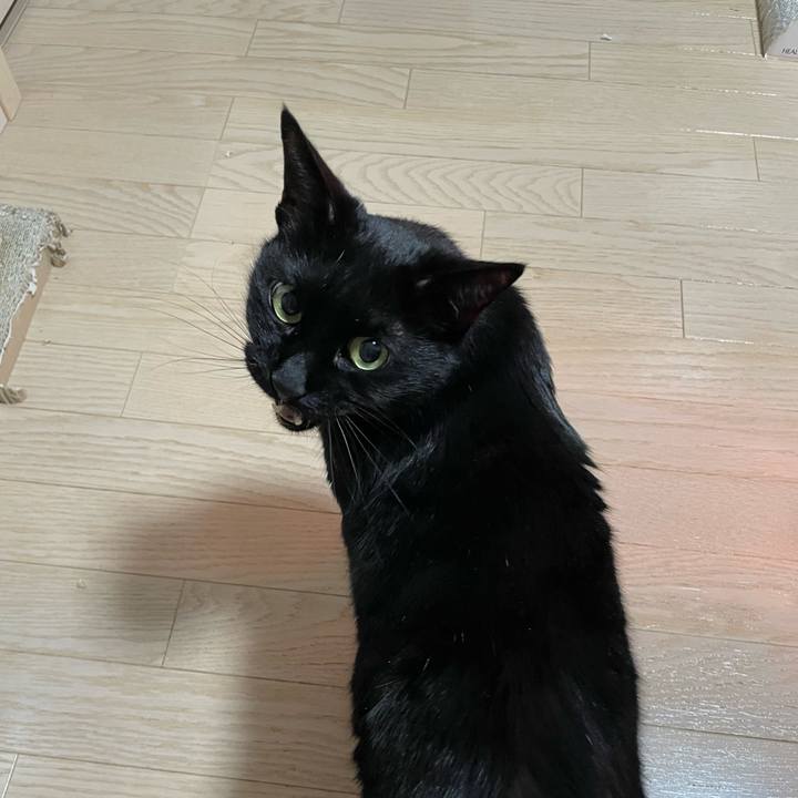 Be8a9d45 6b41 47a7 8cdf e7b1e1fc7a5e 1774270417242