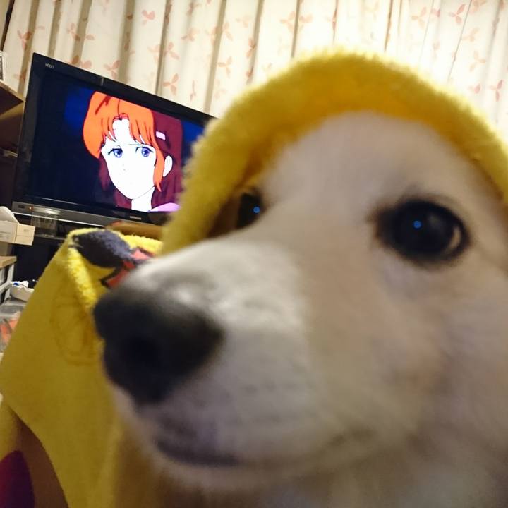 Be8aaa5c 20b3 4a11 98bb 956d78f7b408 1508491958006