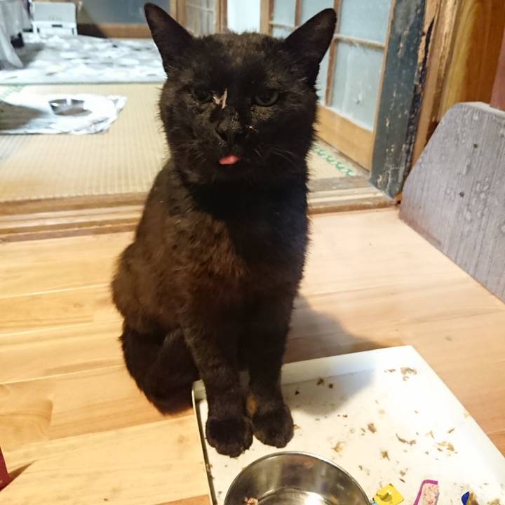 Be8accfd 9bfd 4429 9469 7a842f3c2c13 1623933939854