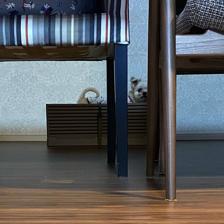 Be8af3f8 e020 4194 8af5 8b332cb0aeac 1746615316573