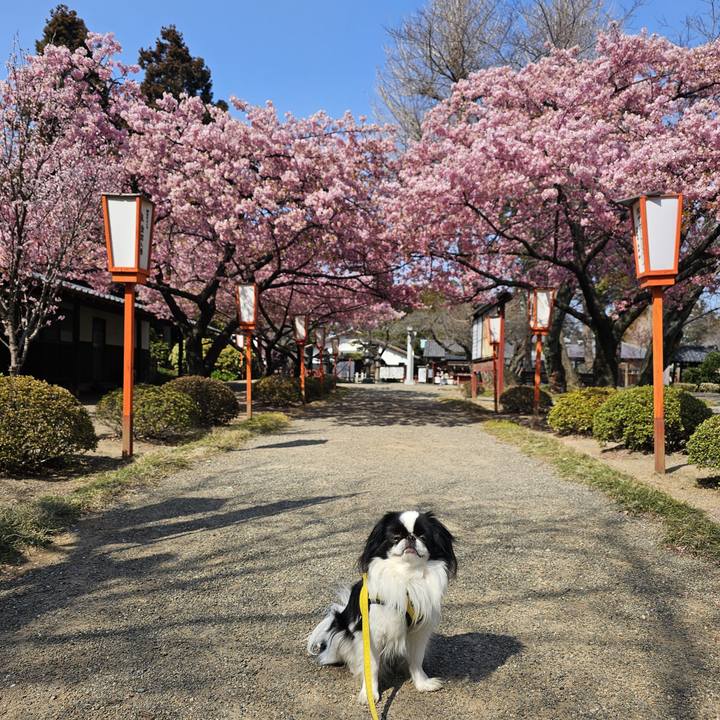 Be8b175c 53fa 49e0 8a86 8d805bb09f0c 1710835506355