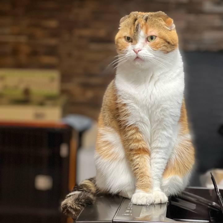 Be8b246f 56fb 43e2 a785 e3cf26f6999d 1682774532720