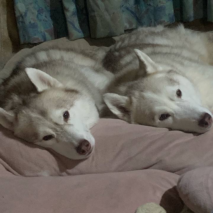 Be8b6b5c a530 4f84 8472 d13c3c821911 1724602045825