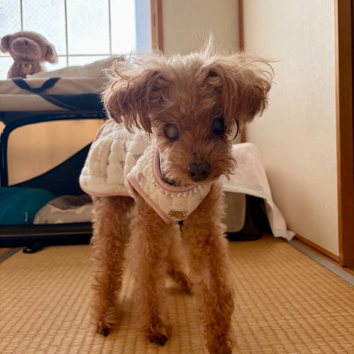 Be8b7bce 3dc3 407d b7f6 6d4817b6dd90 1764115359834