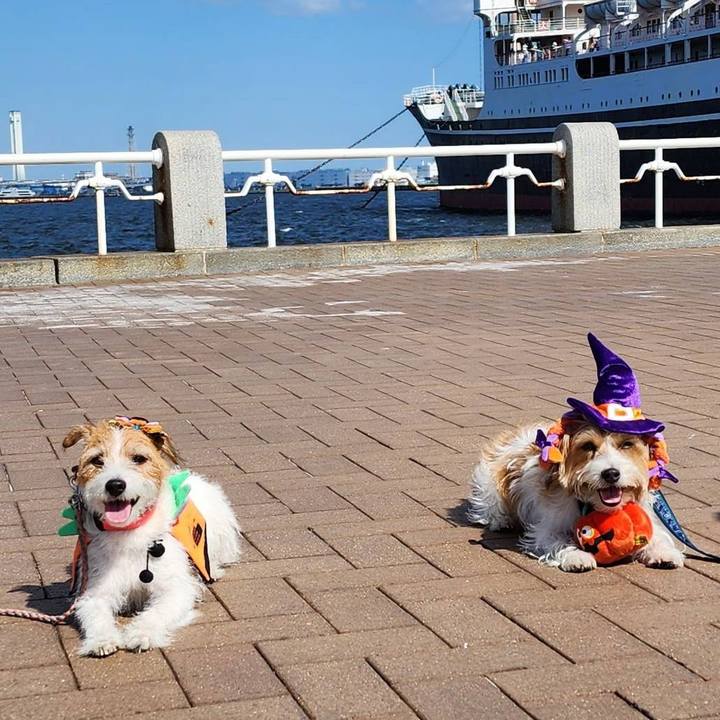 Be8c2b04 ffe4 4c59 926f 857489ac065c 1696672743706