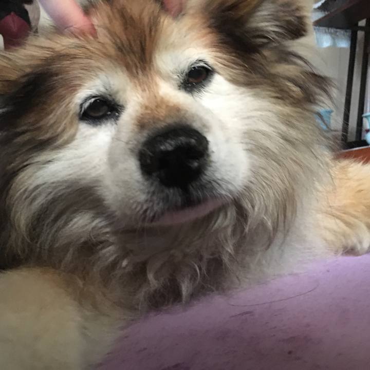 Be8c32dd eb8d 48f3 893d ab5e8e0362d4 1552460282647