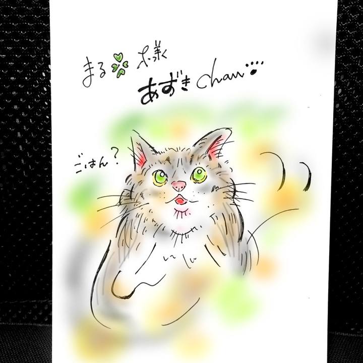 Be8c3e7c 505a 478e 92d2 46543b848741 1569173403661