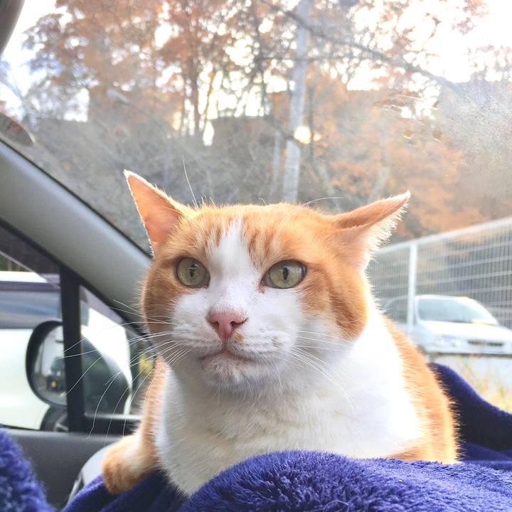 Be8c5b78 c07b 44e1 b2ce b3cdc7ae3e85 1575269036368