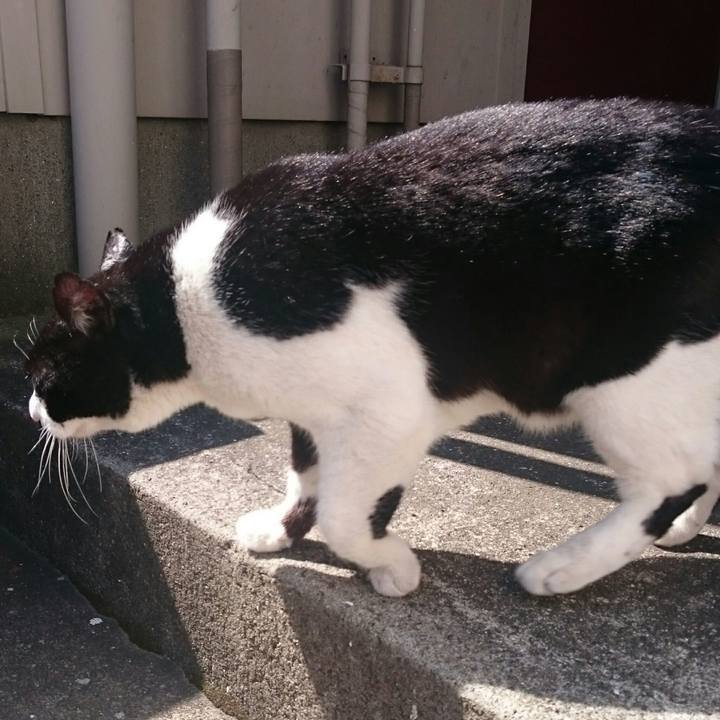 Be8cbc24 9695 4e27 bd18 1e0e2d9c591c 1520131772057