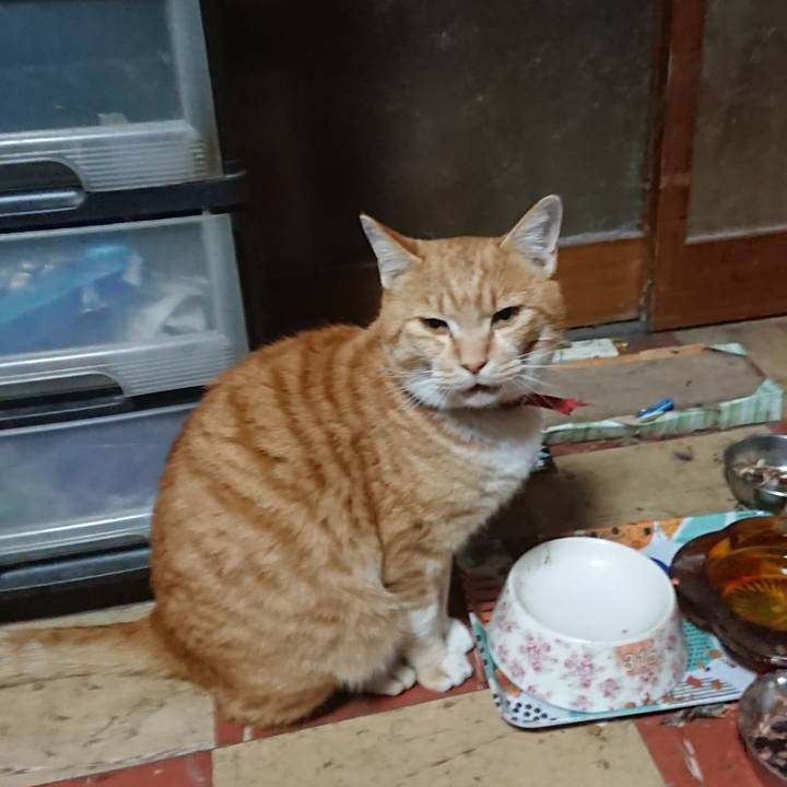 Be8cbfa0 7523 4f7b 8b76 6b21175f3478 1574931048908