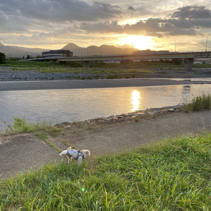 Be8cda8d ddf0 43da b888 247ed33849d5 1693738883711