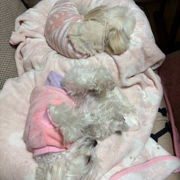 Be8cf25c da8c 4178 8449 c47c638f3226 1739187323027