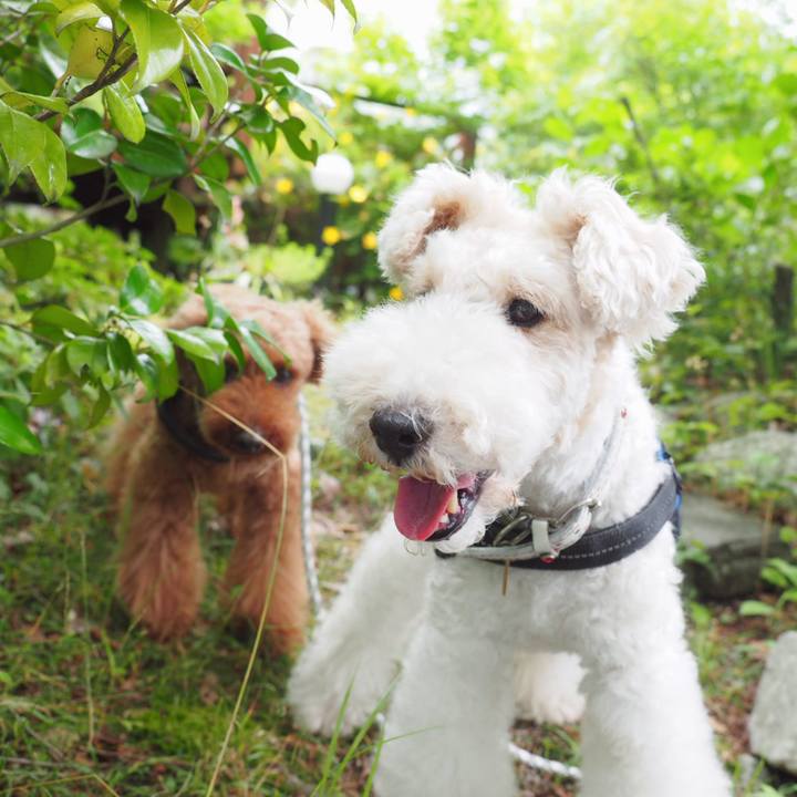 Be8cf2f7 0472 4539 8b3d 6271e830079a 1560659396240