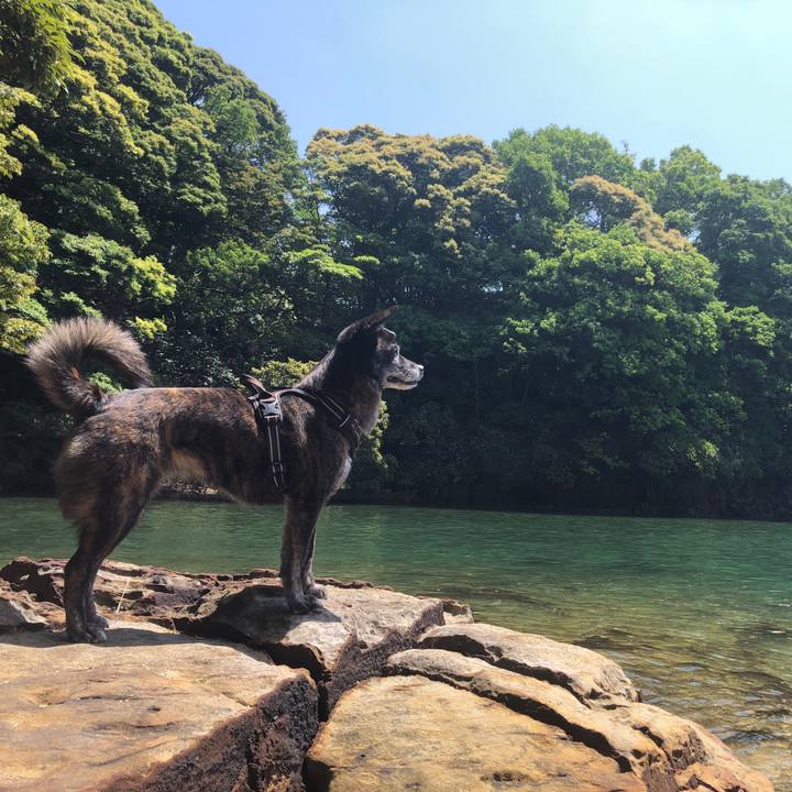 Be8d0082 1eeb 45a7 88fb 2476be5287b7 1620033551702