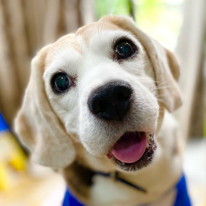 Be8d404a 1636 417b 8cba ae0fe4ebc979 1623641858208