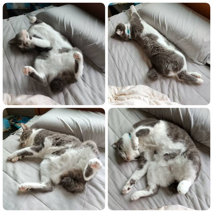 Be8d43ca 9f2d 430e b910 5c58647b3813 1631934159254