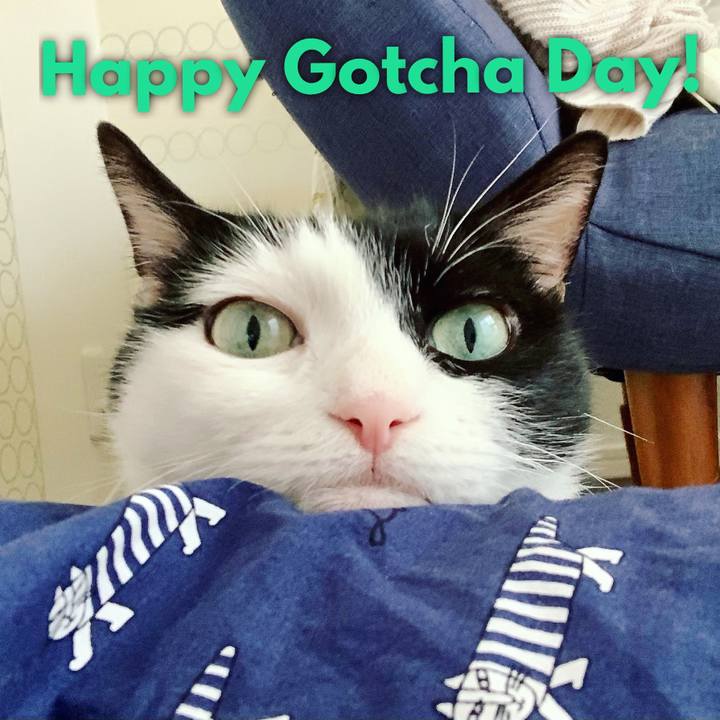 Be8d7ad3 a310 47d6 94f2 8e29da677ffc 1688864406853