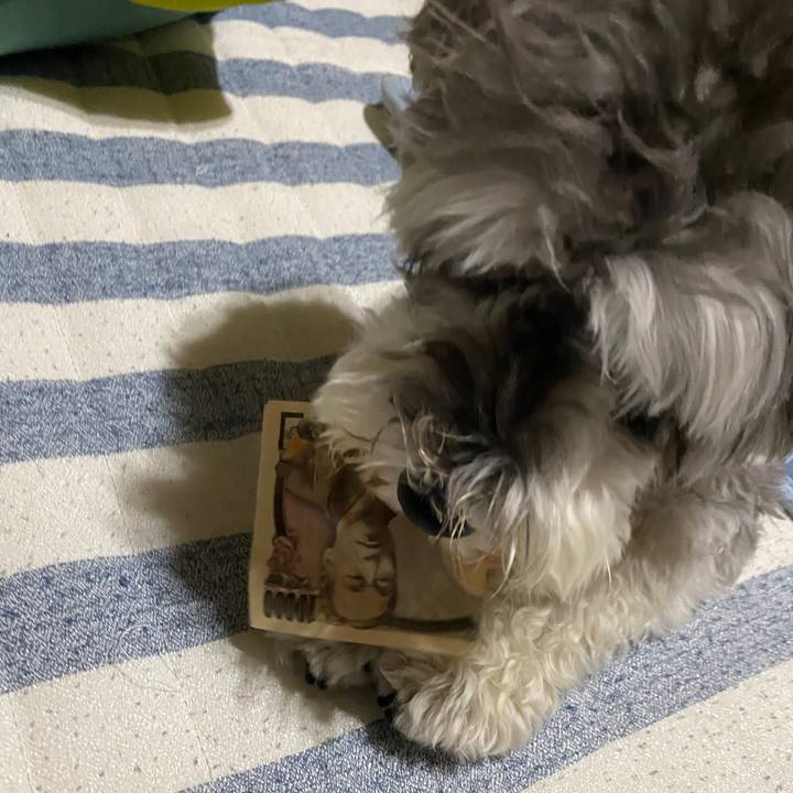 Be8d7fd5 d912 4dc5 ac83 86b520979040 1593441761464