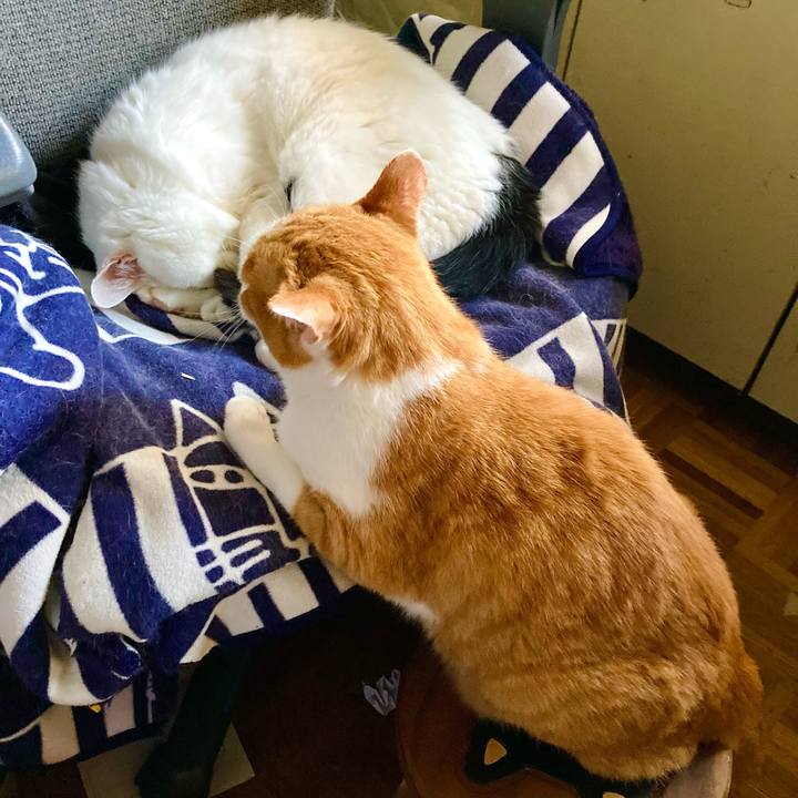 Be8db828 e229 4c09 ad7a 76dcba0d0c88 1664432182178