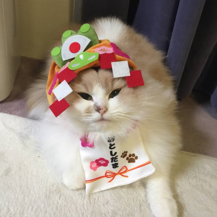 Be8dba88 d5e1 46a7 b206 88de27f8d0f1 1546494062681