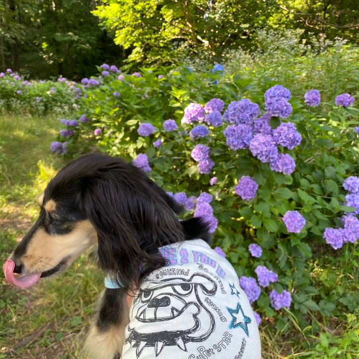 Be8dcf92 d23f 42b7 86d8 7eca718c7d68 1750499096502