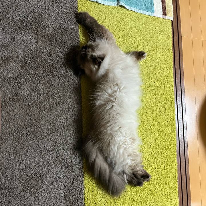 Be8dcfb5 dfb6 4bc4 98c2 ae2fb2116615 1760446525133