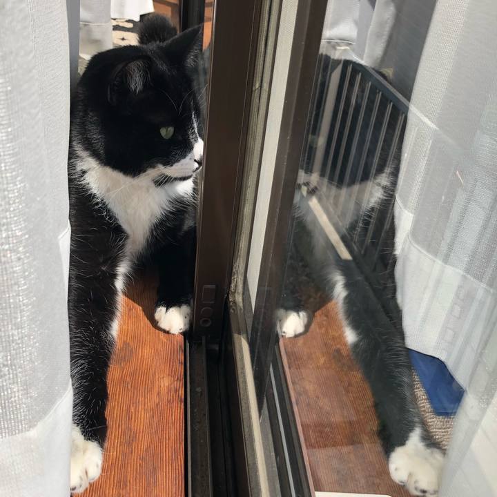 Be8e2b89 5afd 4ca8 9ad1 3fed5be9f6c0 1550920880871