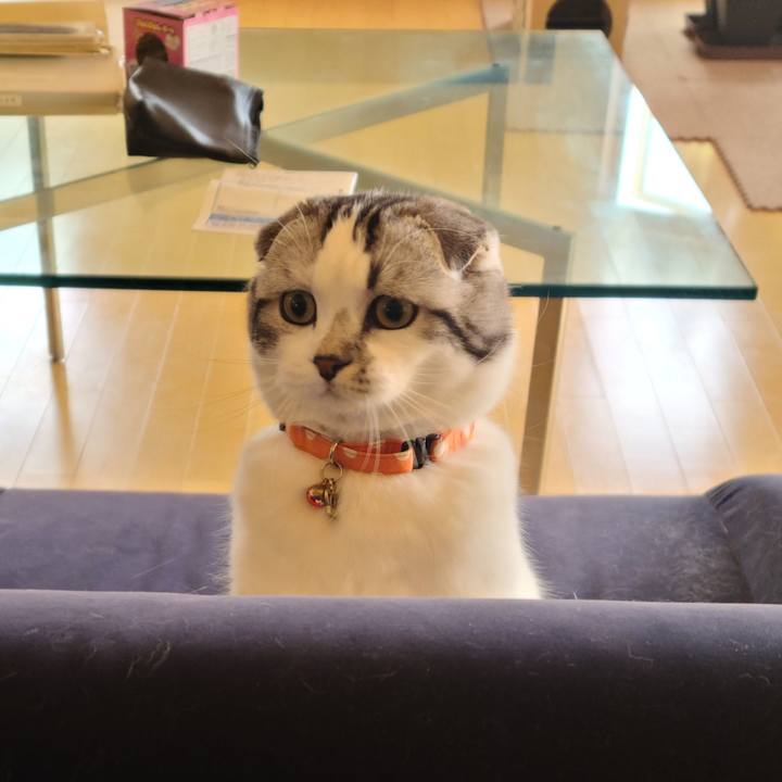 Be8e350f 8df8 498e 8310 4ce999c9f656 1647331786669