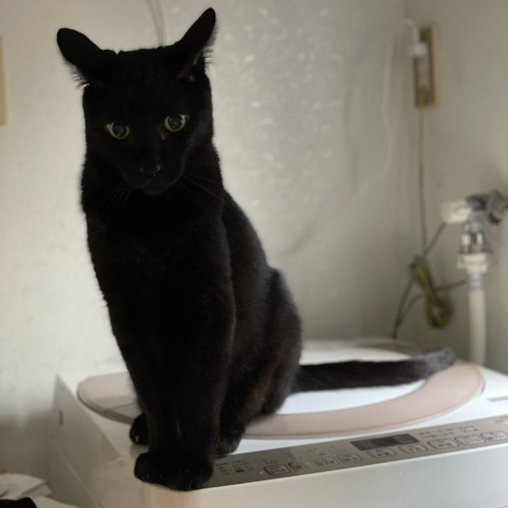 Be8e3d6f 3709 45f1 ba56 202652d2ebe6 1660445120490