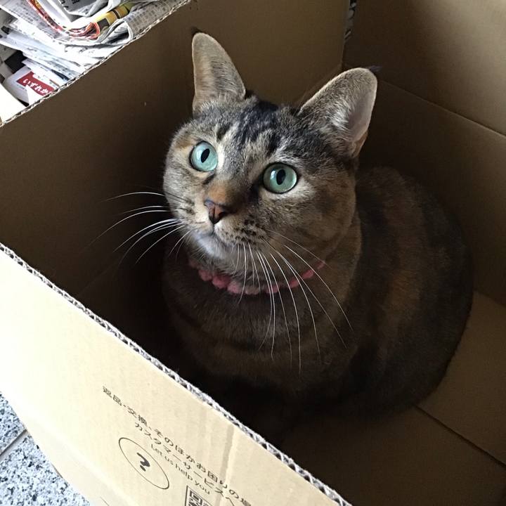 Be8e9797 8ea3 4da4 aabd 0147d952d30a 1734509087296