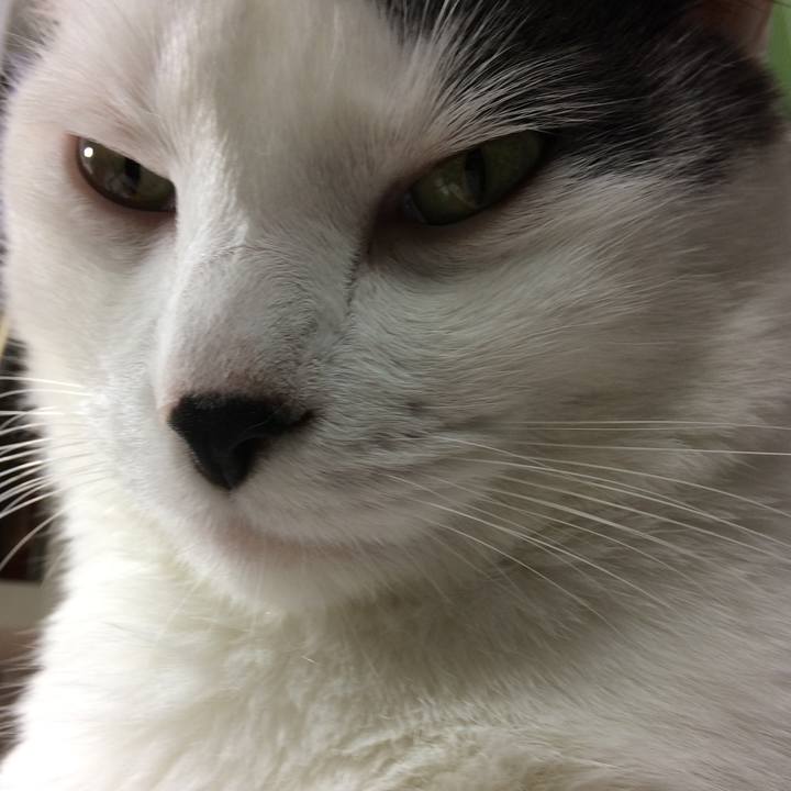 Be8edc68 df27 47ef 91ca f281f98ae760 1530297697730