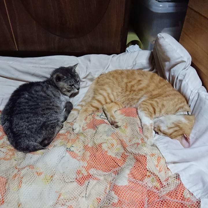 Be8f128c 0b6b 46c4 abda b9563675fcf3 1591100170430