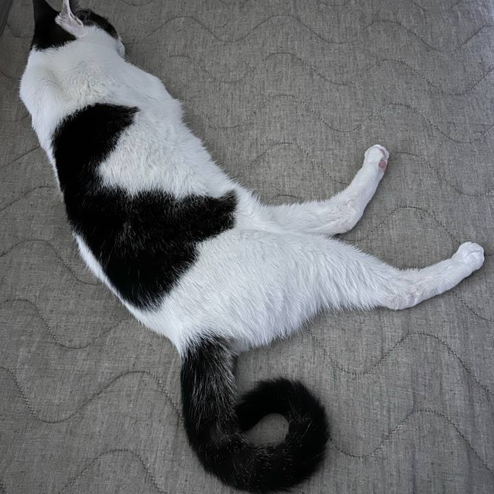 Be8f2250 8bae 40d3 9ebd 17ef7078be70 1718466032305