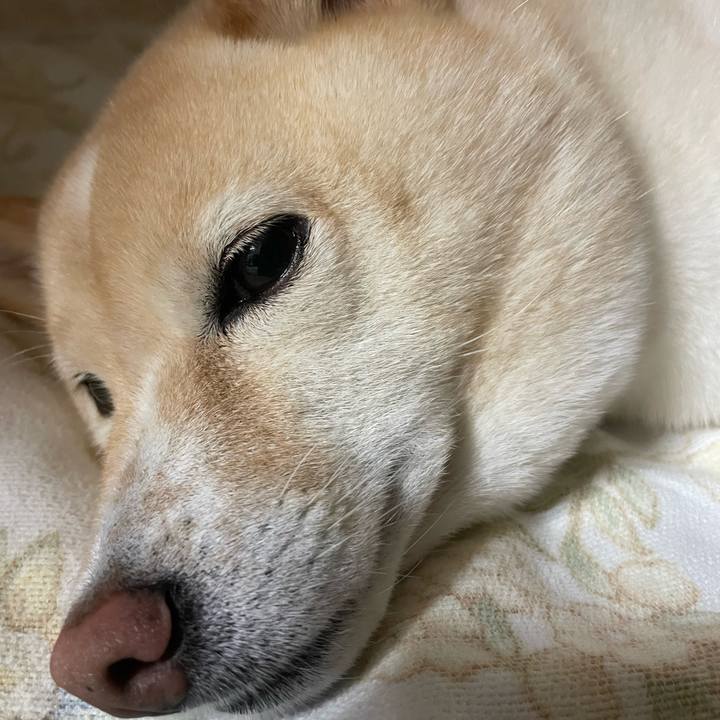 Be8f6728 05b5 4a48 bf61 5b45ae661f68 1726665770652