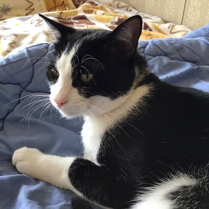 Be8f837d d664 422f ac9c d010c5967f4e 1652162883393